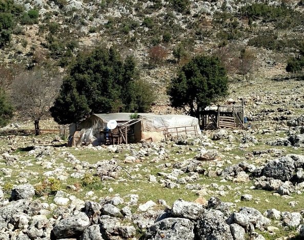 Nomad goat herding camp, Ala Kilise